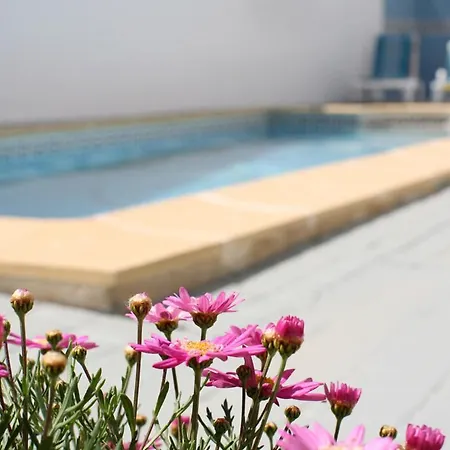 别墅 Naomi - Large Garden And Terrace *
