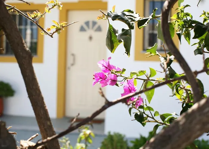 Naomi - Large Garden And Terrace * Αλμπουφέιρα