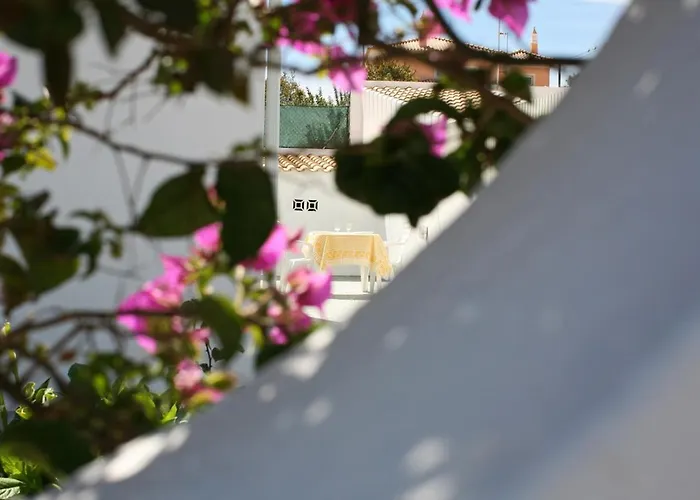 Naomi - Large Garden And Terrace *