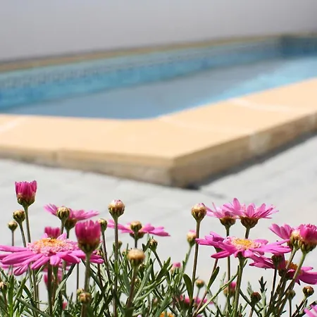 Naomi - Large Garden And Terrace * אלבופיירה